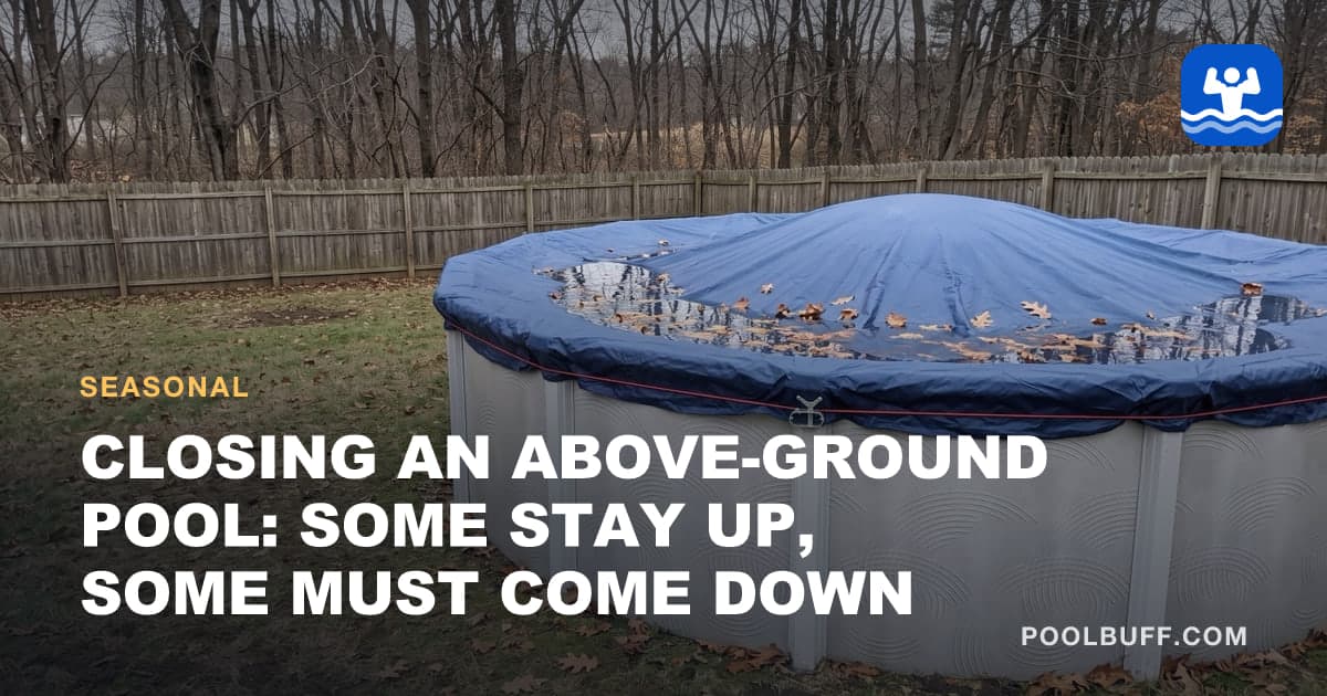 A round above-ground pool closed for winter in a bare backyard, its dark blue cover domed in the middle, rainwater and oak leaves in the sag, a red cable and winch at the rail